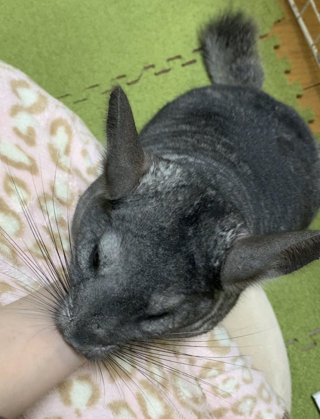 6F3F3E1E-EFE1-40F8-A3CE-7C9884897059