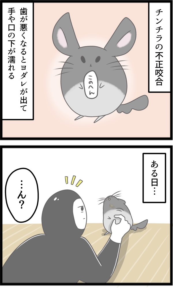 C6634BD4-7A8D-424B-9EA1-EA7F85602F51