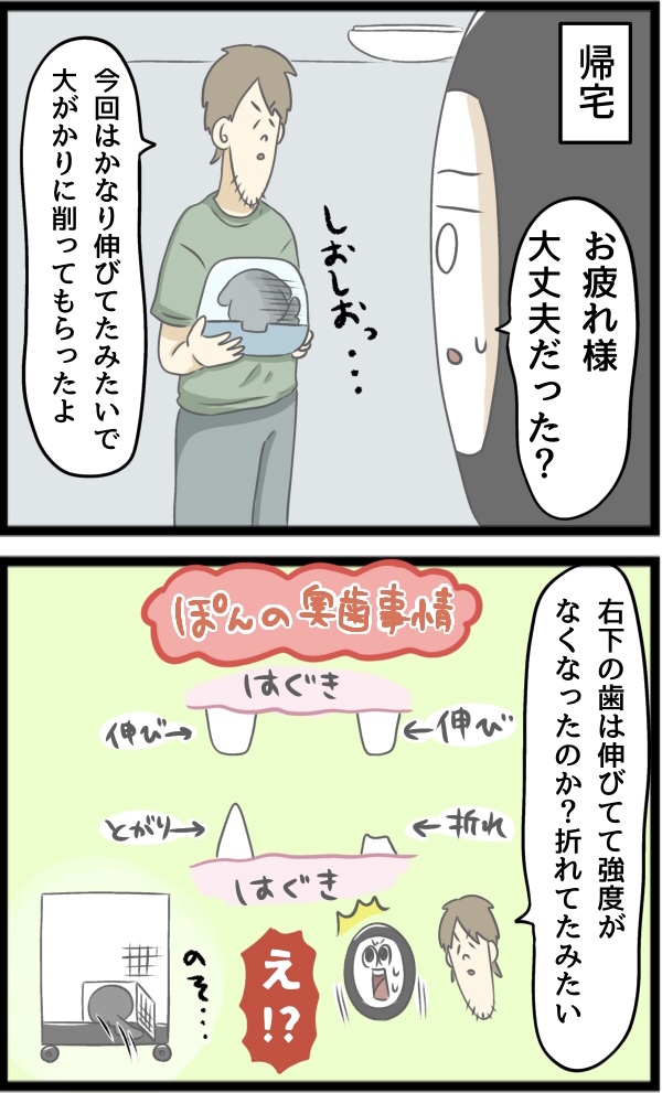 A1439B64-941F-4BE8-81FD-2816F5373BCB