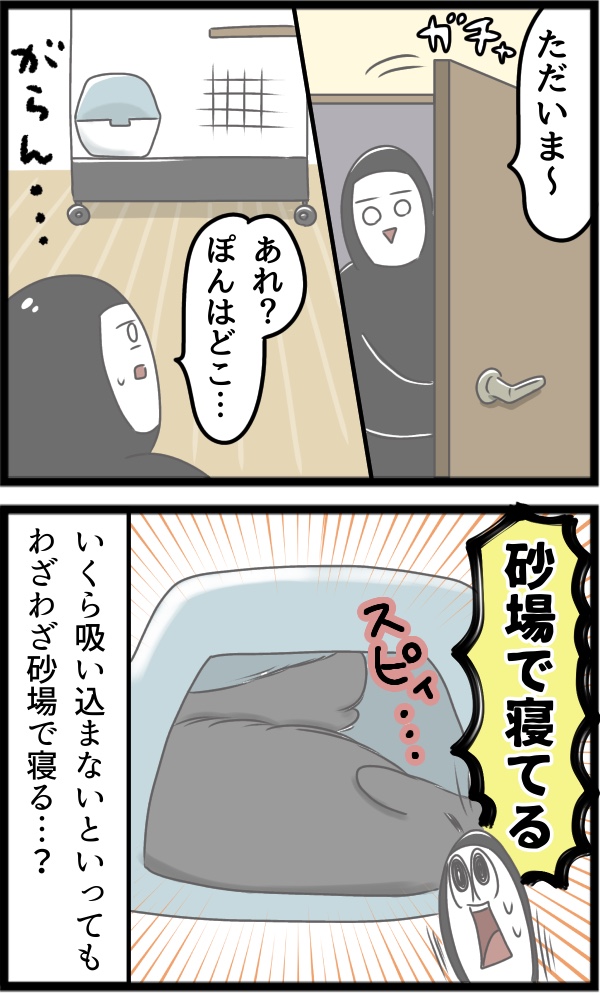 12134EE3-2706-462D-9932-B5D508391D52