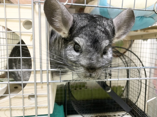 B20A7B4D-191D-4FAA-BE14-A5E962B49E58