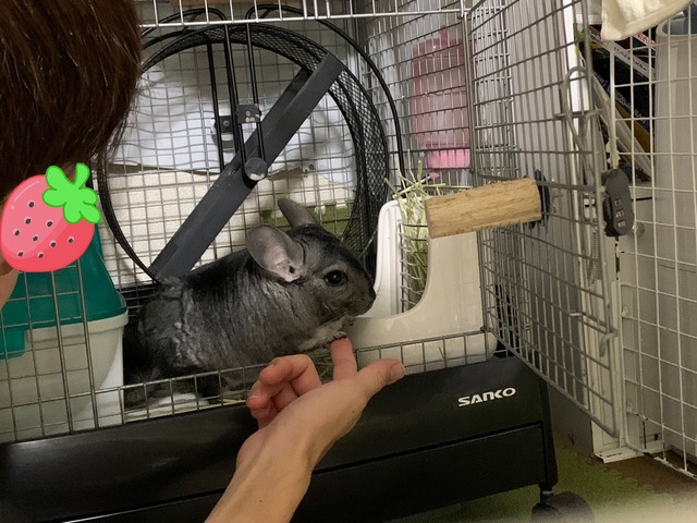 A385B01A-E255-4BBF-852C-9794DF1ADDAC