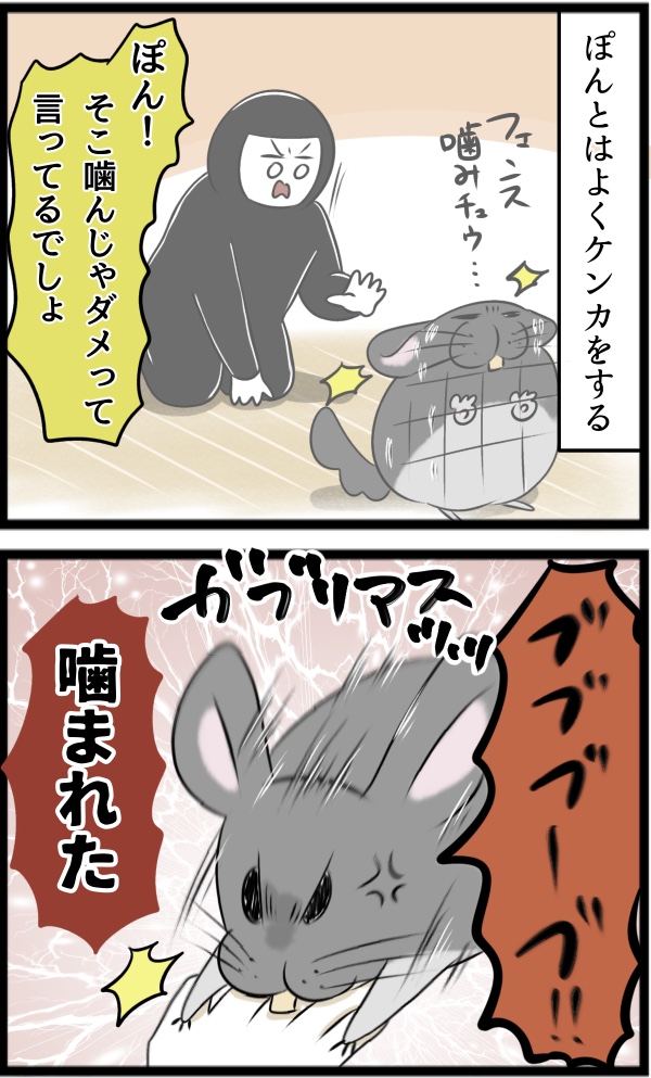 535CFEBC-49D5-43A5-BF94-D916369334DA