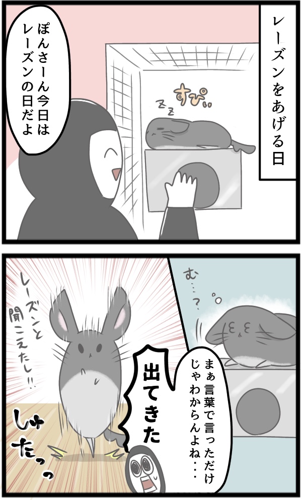 03E5517C-1C9B-4EDB-9EBC-25D94E620EA4