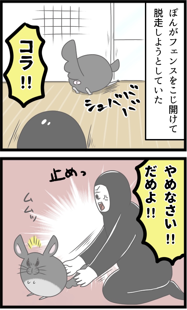 77F3EFF2-0E58-4FE8-A19E-DCEE7AD6559E