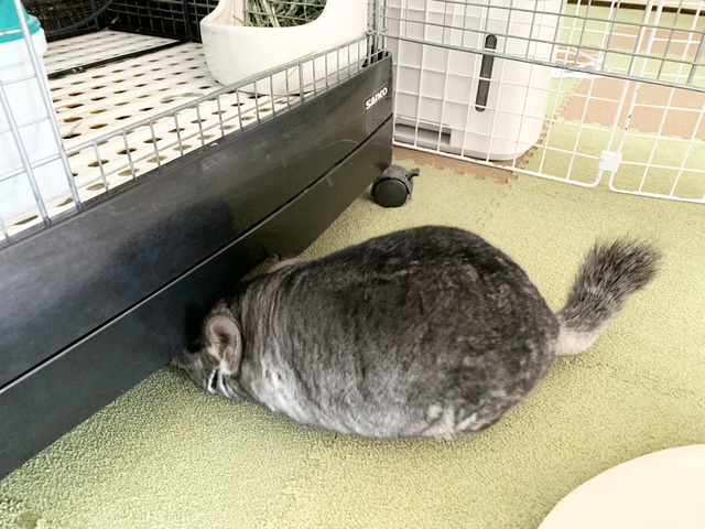 0B3753B0-3A27-4B1F-8F9B-15311A0B264D