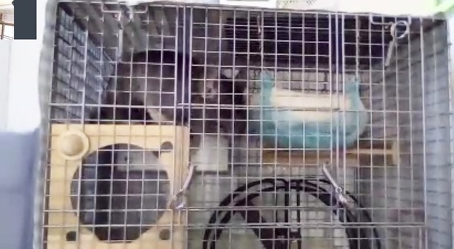 C76AC182-A29F-4C5D-B0F9-A6D26D5A6A17