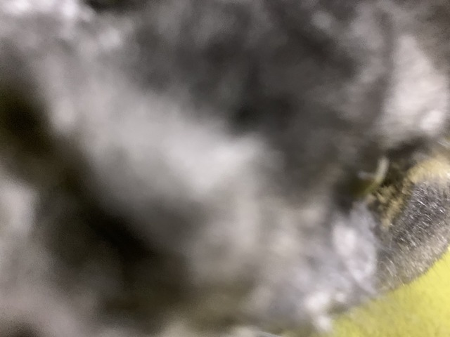 934A782B-95F6-4B91-80F0-9451725ED25B