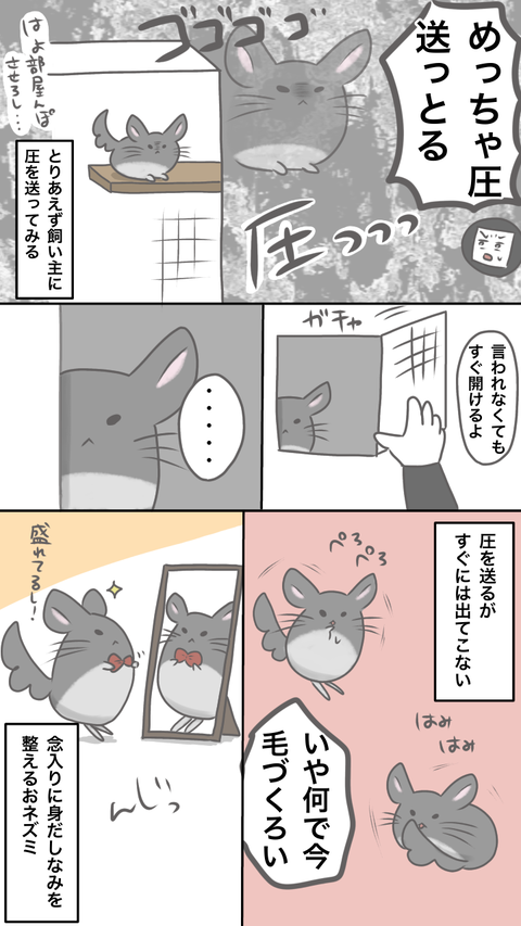 D837B5F9-D1BA-48C7-86AD-4C3437E62123