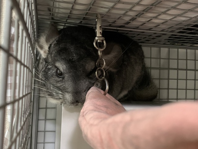 136E26BE-256F-4397-9BA4-E964865BC5AB