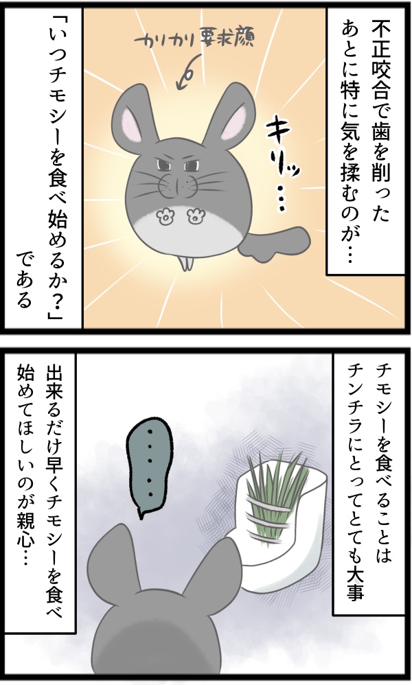 A5CA2476-16FF-41C7-855E-018E3039F3FE