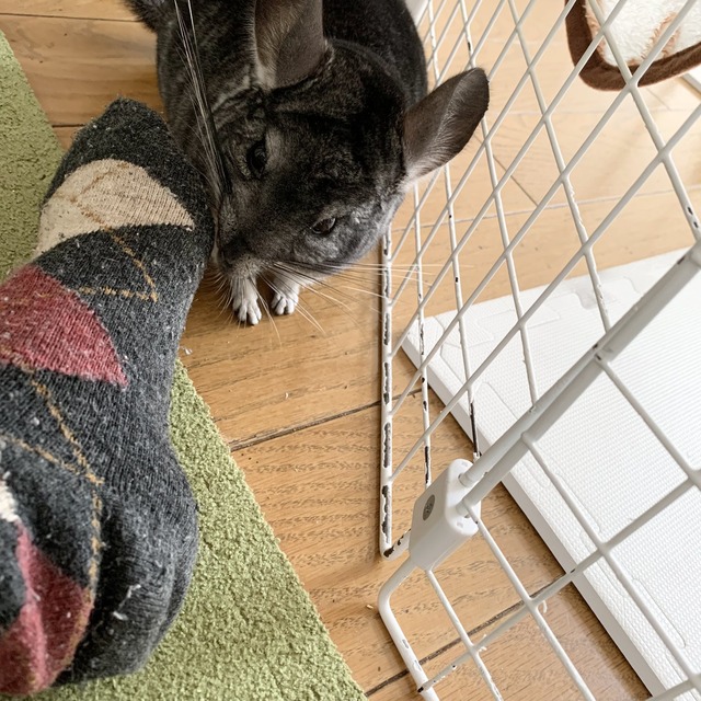 36BCD6B8-6340-440A-9059-A3D22479B103