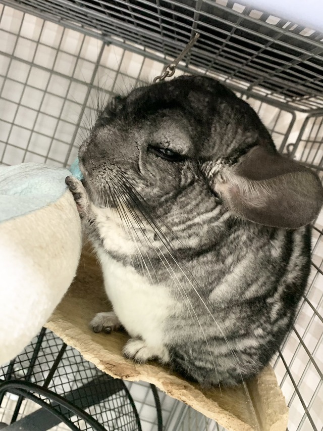 EC15AE4A-B865-46FF-A7C6-4171184AFB5C