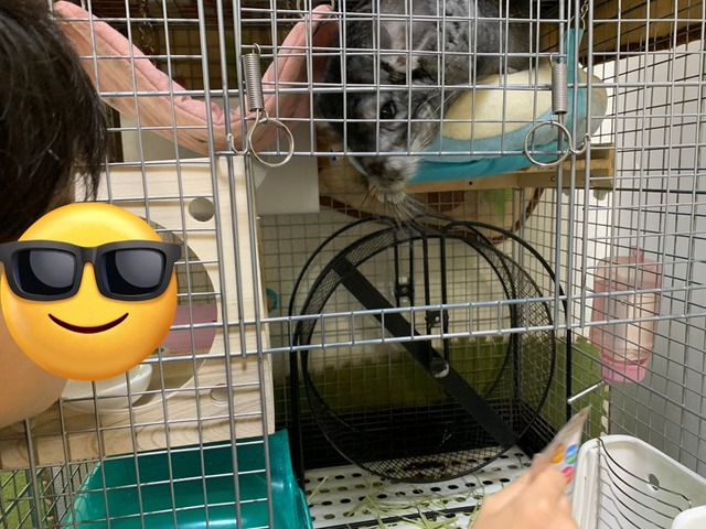 567DEE8A-EC2A-4EAC-A303-5BBCFE81AF9C