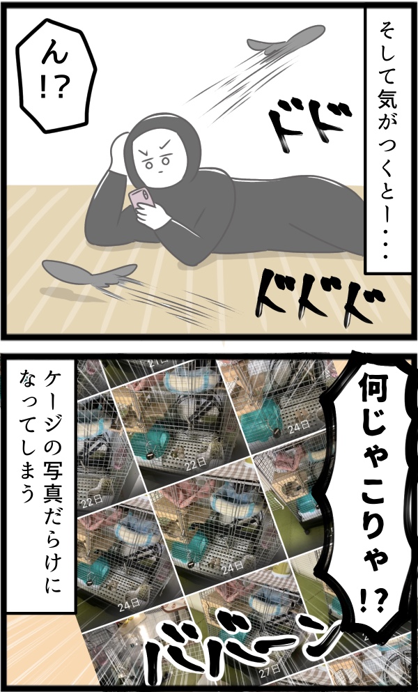 2CD3BD95-FD55-41C8-9321-E04956B5C3E4