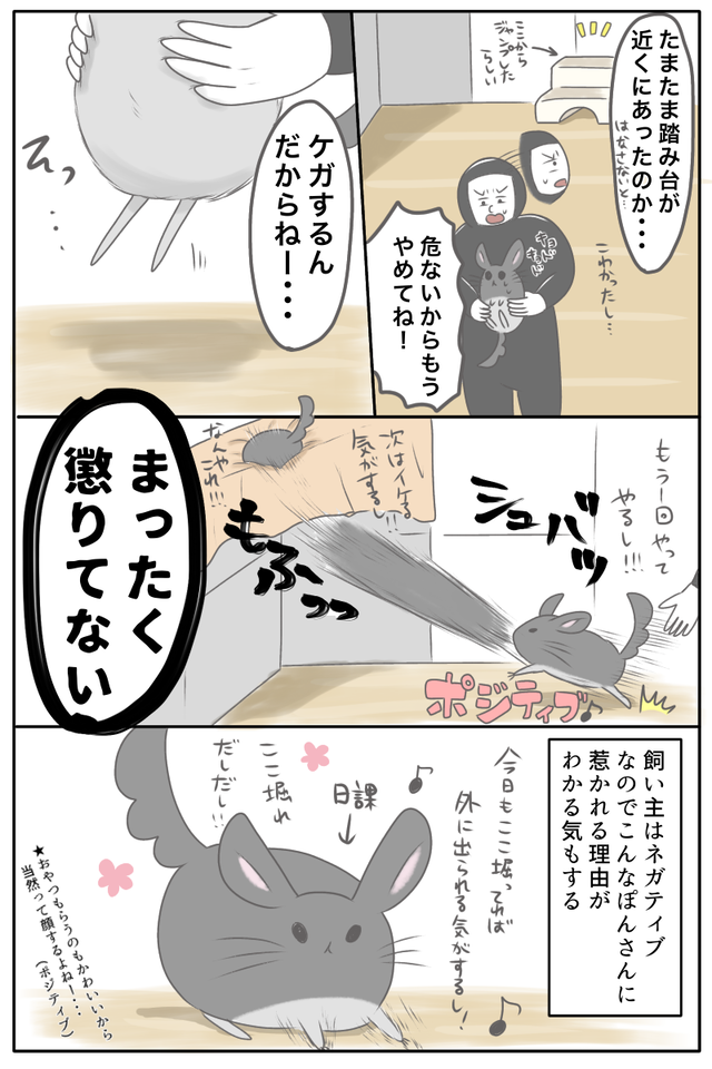 58E9E0A2-EACE-4B2C-8A7F-CC3E3048CD6D