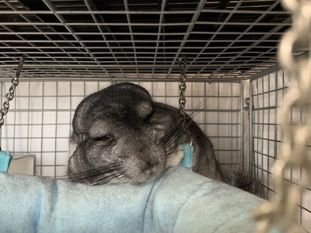 D5A40448-327E-4FD8-90BA-756865EE58A9