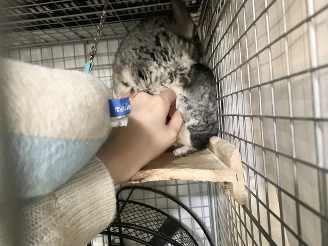 D6DCB185-ED2E-4C96-9FA7-66F4538DF1B8