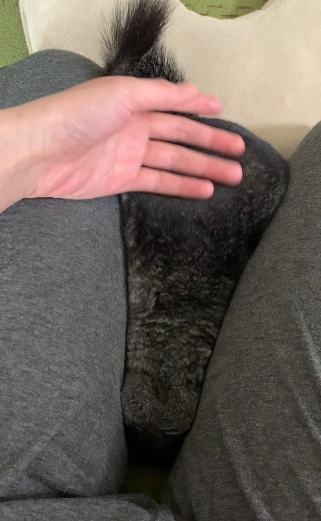 FullSizeRender