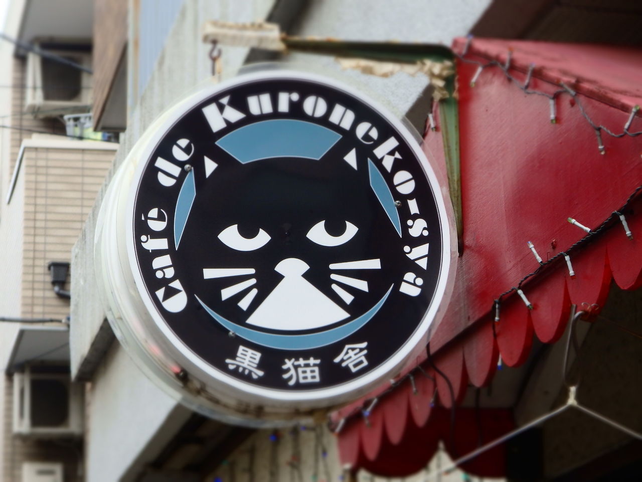 都電荒川線散歩*猫むすび御膳 : 陽だまり散歩