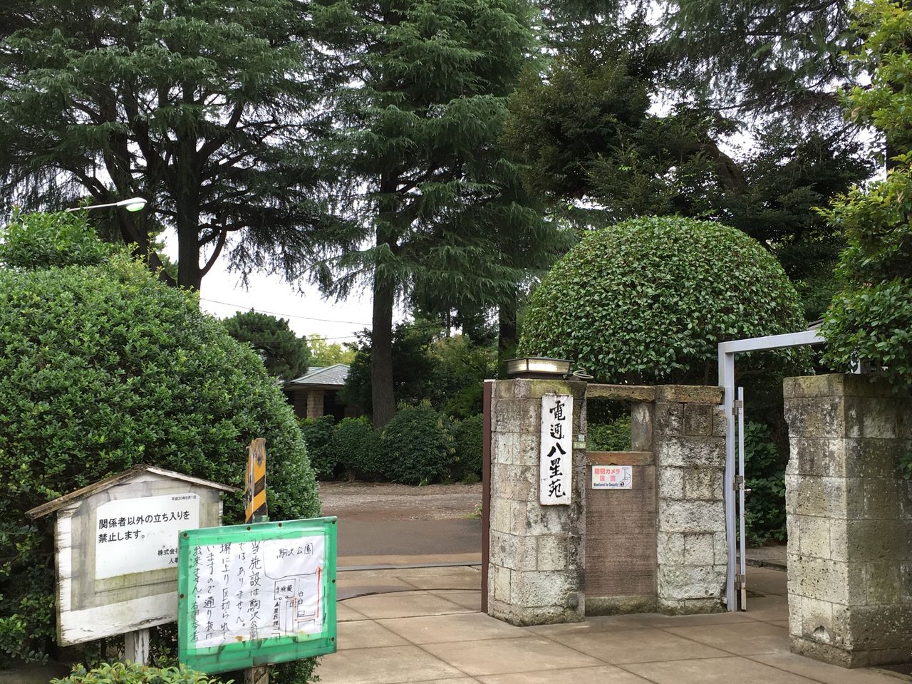 駒澤大学*禅文化歴史博物館 : 陽だまり散歩 駒澤大学*禅文化歴史博物館 : 陽だまり散歩