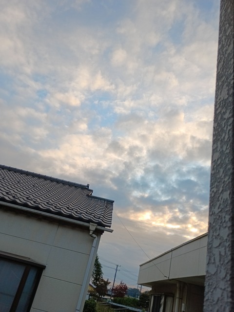 IMG_20251024_163437_1