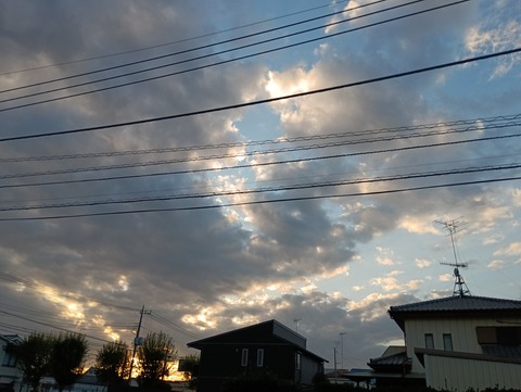 IMG_20251114_160502_1