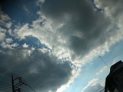 IMG_20260804_163842