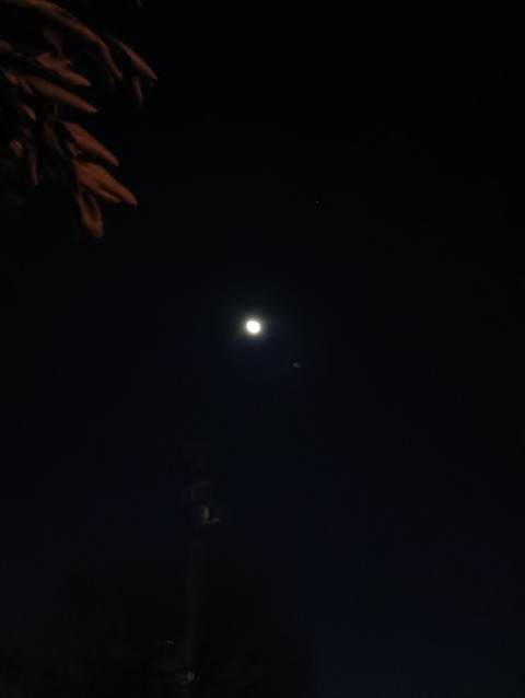 IMG_20260108_011519_1