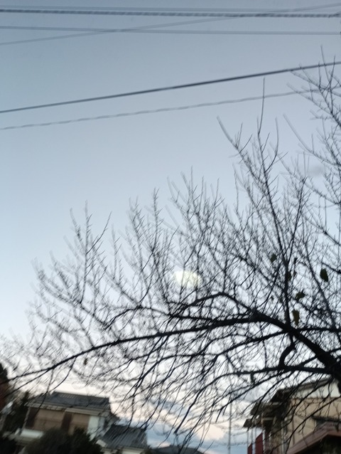 IMG_20251118_163515_1