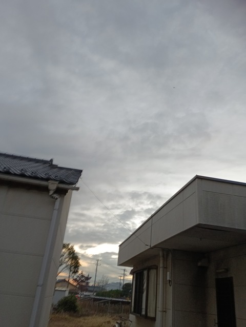 IMG_20251125_163237_1