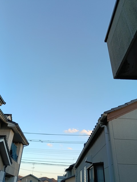 IMG_20260113_162625_1