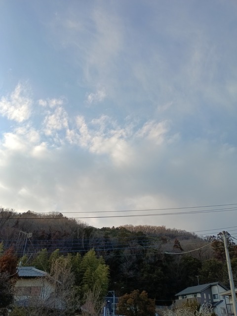 IMG_20260218_163120_1