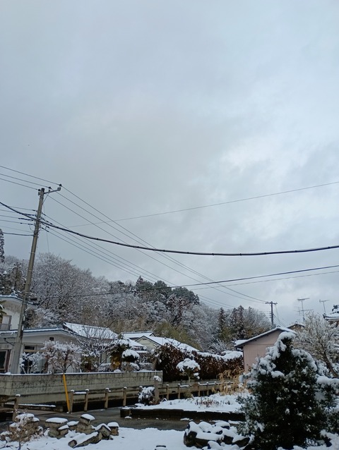 IMG_20260208_125726_1