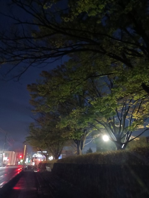 IMG_20260405_044227_1