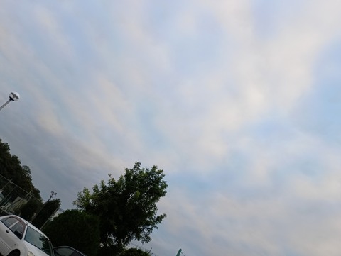 IMG_20251007_164523_1