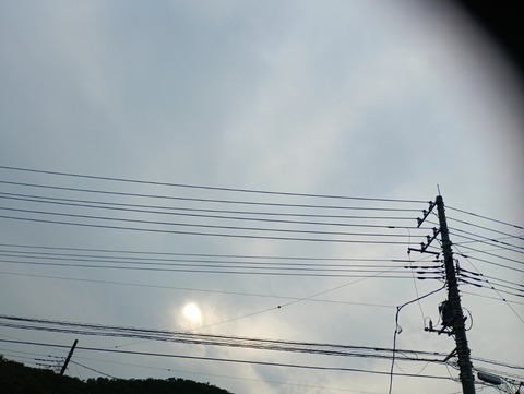 IMG_20260520_164103_1