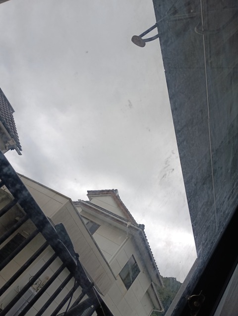 IMG_20250912_163955_1