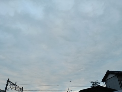 IMG_20250924_170527_1