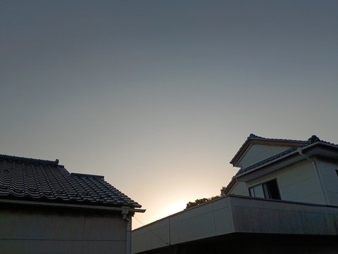 IMG_20251017_162959_1