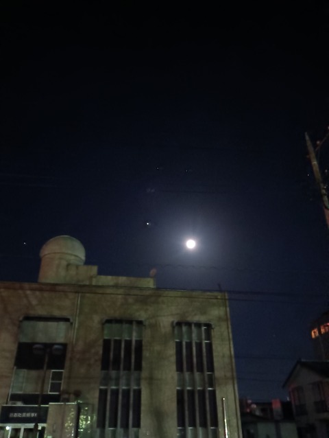 IMG_20260131_025041_1