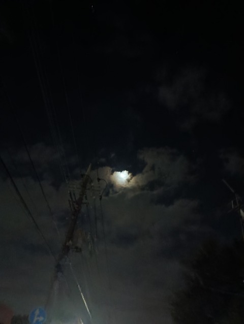 IMG_20251014_014416_1