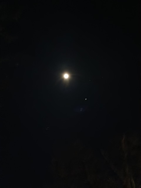 IMG_20260105_012319_1