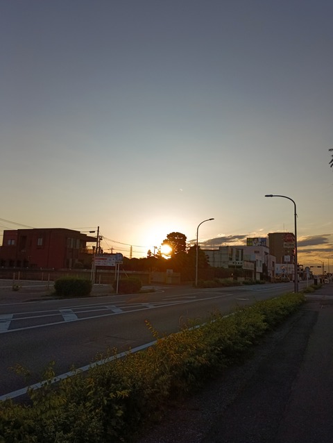IMG_20260510_050422_1