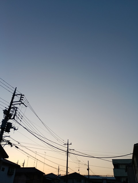 IMG_20260213_171043_1