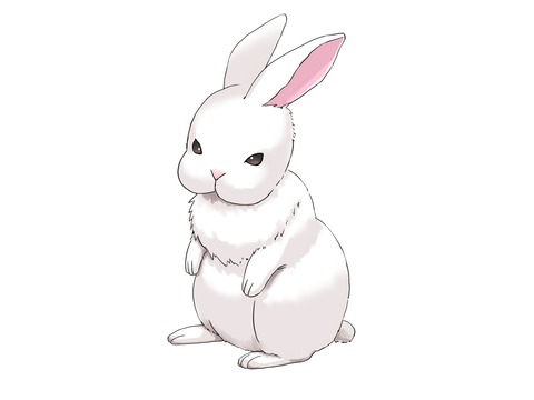 ウサギの描き方-色を塗る⑤