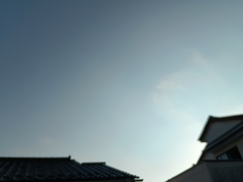 IMG_20250901_165251_1