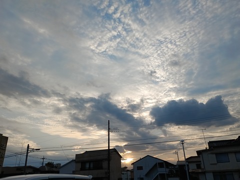 IMG_20250930_165737_1