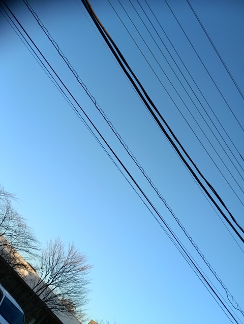 IMG_20260127_162755_1