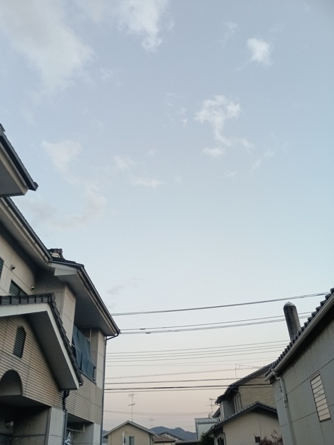 IMG_20251208_163021_1